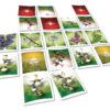 Cartes du jeu Pollen