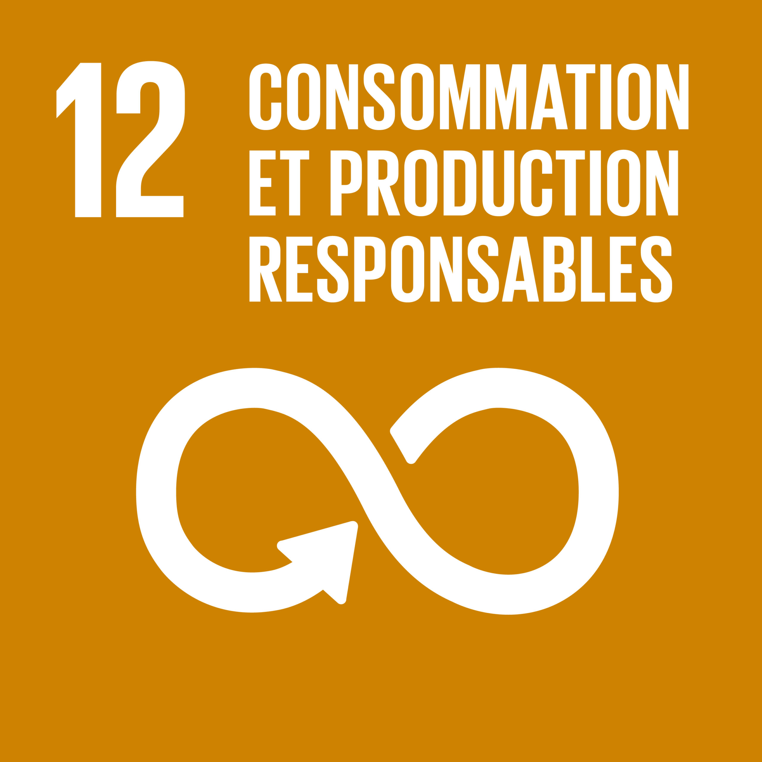 ODD 12 Consommation responsable